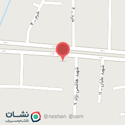 عکس کارشناسی رنگ اتومبیل طهرانی