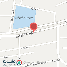 عکس پیتزا ملت