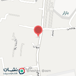 عکس کباب و بریانی ترخون