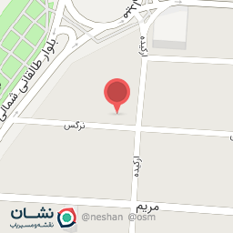 عکس فست فود آناناس