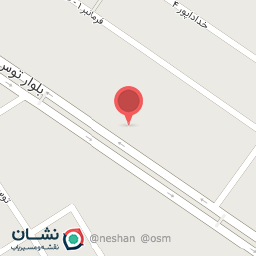 عکس پیتزا کنتاکی سوژا