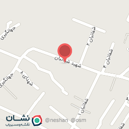 عکس پرنده فروشی