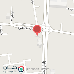 عکس شرکت پرداخت شاناکو