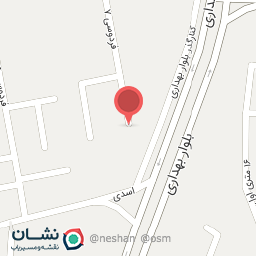 عکس دنر نگین