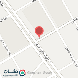 عکس پیتزا پالت