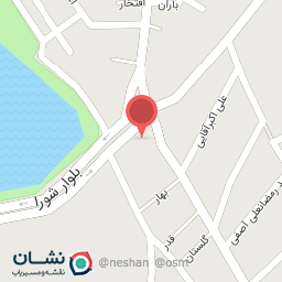 عکس پیتزا ذغالی زاپاتا