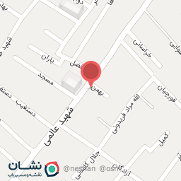 عکس بربری گل گندم