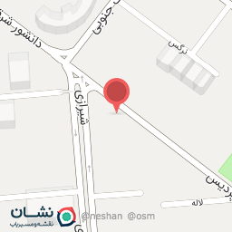 عکس فتوکپی شیراز