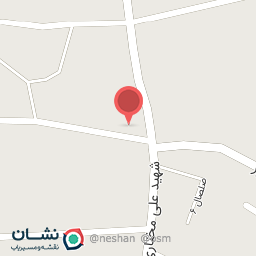 عکس باربری نگین