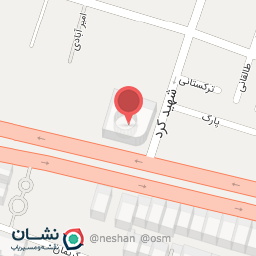 عکس گل و گیاه نارسیس