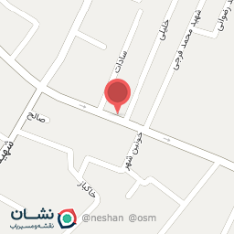 عکس کیف وکفش غزال