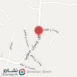 عکس گل و گیاه رز سفید