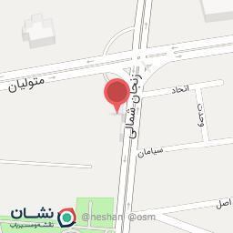 عکس آموزش بسکتبال تهرانی مخصوص بانوان