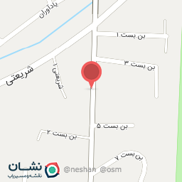 عکس پخش ظروف یکبار مصرف سپیدار