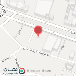 عکس چرم آلینا