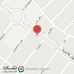 عکس سکه پارمیس