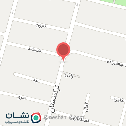 عکس شرکت خدمات مسافرت هوایی برجیس 