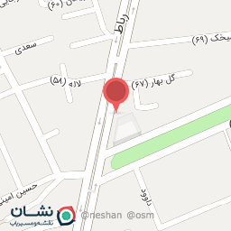 عکس مشاور املاک ملینا