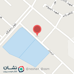 عکس مرغ زنده فروشی شمس 