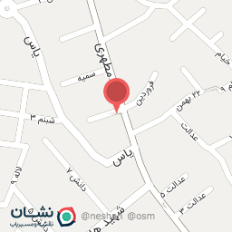 عکس پیرایشگاه مهدی