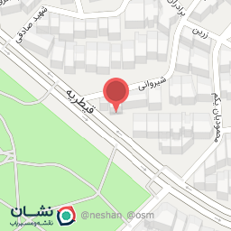 عکس مستر شاورما