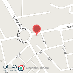 عکس مرغ و ماهی خلیج فارس