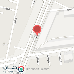 عکس پیتزا آتبین Pizza Atbin