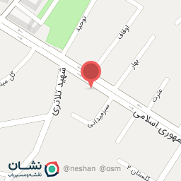 عکس چلوکباب اطلس