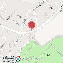 عکس مزون الی