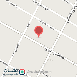 عکس فروشگاه اسباب بازی آلوین