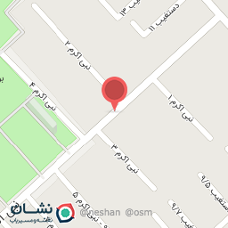 عکس پاچینی مزه 