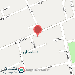 عکس بریانی تاک