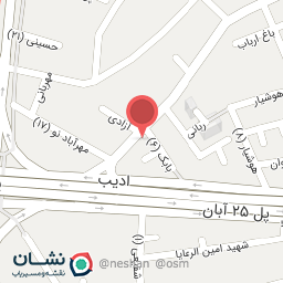 عکس شرکت نرم افزاری رایمند