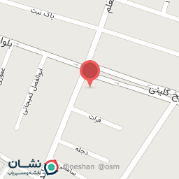 عکس رستوران و تهیه غذا زیتون