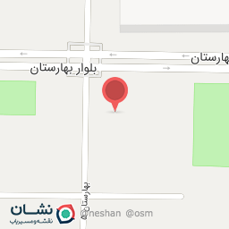 عکس پیتزا دلفیا