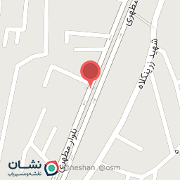 عکس اگزوزسازی (مختاری)