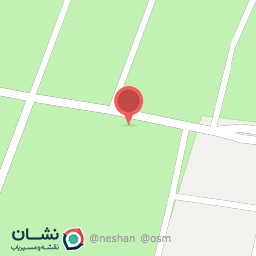 عکس مرغ ماهی تک