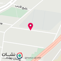 عکس صحافی پویا