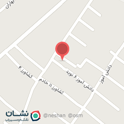 عکس بازرگانی آلو بخارا و لواشک رحمانی 