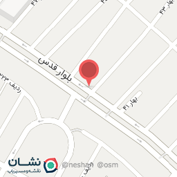 عکس شیرینی و بستنی تمشک 