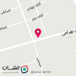 عکس باشگاه ای ام اس زی زی