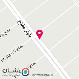 عکس نقره و بدلیجات فرجی
