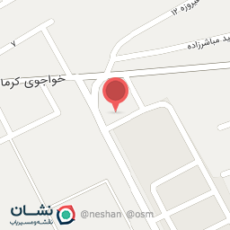 عکس لوازم یدکی پارت خودرو (میجانی)