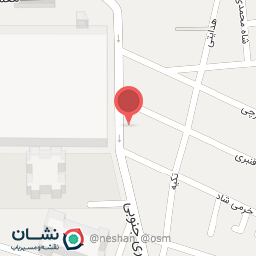 عکس پیتزا پاژن