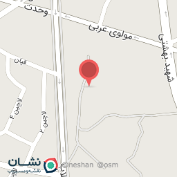 عکس طلای ناصری