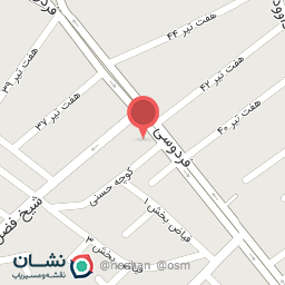 عکس کیف و کفش آلامد