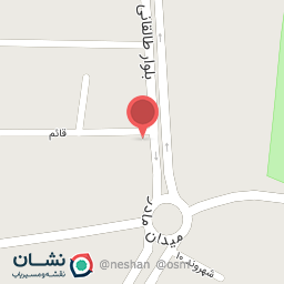 عکس پیتزا ساندویچ زیتون سبز