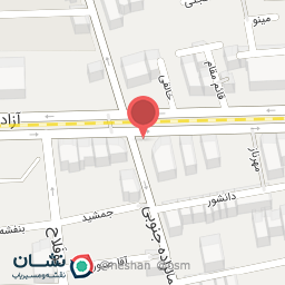 عکس فن آوران دیجیتال رادنیک