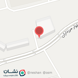 عکس پیتزا شقایق