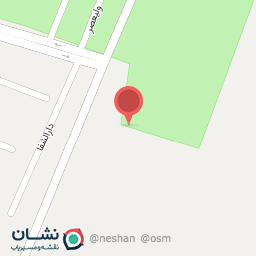 عکس نهال گردو کانادایی